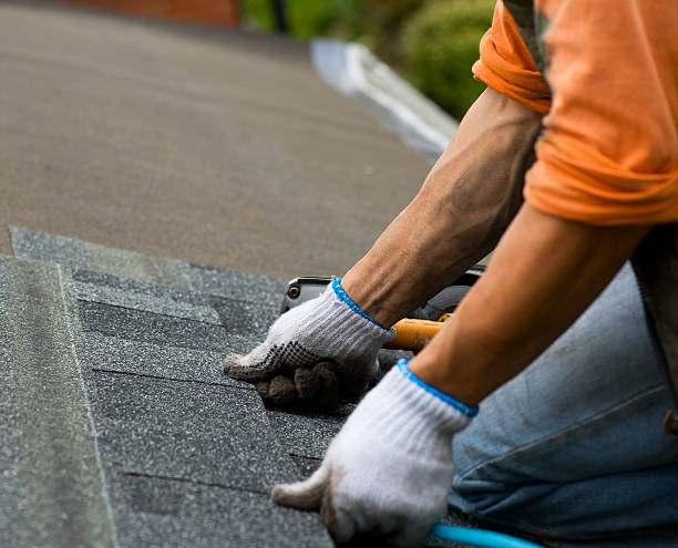 Best Roof Repair Services  in Wapakoneta, OH
