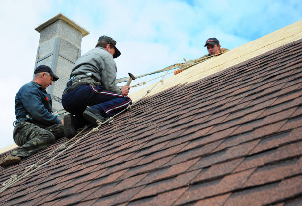 Best Roof Waterproofing Services  in Wapakoneta, OH